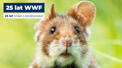 25 lat WWF Polska – Pasja, która zmienia świat na lepsze.
