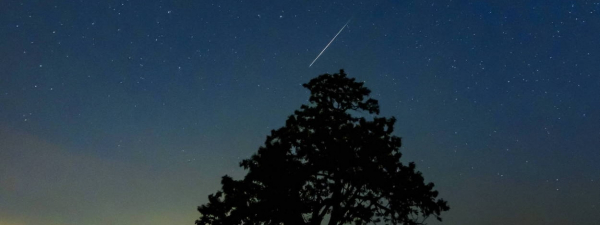 Wkrótce przesilenie letnie i początek astronomicznego lata