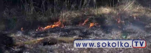 NA SYGNALE: Pożar trawy w Sokółce