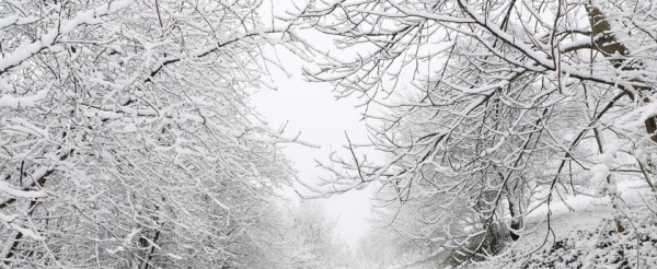 W weekend w prawie całym kraju spadnie śnieg, deszczowo na zachodzie