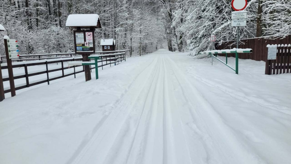 Trasy narciarstwa biegowego przygotowane w Biebrzańskim Parku Narodowym