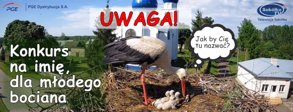 UWAGA Konkurs ! Na &bdquo;Na imię dla młodego bociana&rdquo;
