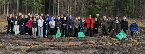 Dwuletnie sadzonki świerka posadziła młodzież z 4 szkół Powiatu Sokólskiego