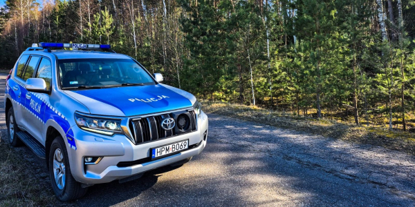 Policjanci zatrzymali podejrzanego o kradzież drewna