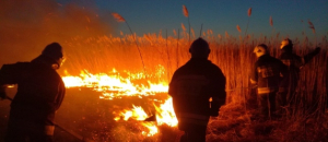NA SYGNALE: Pożar suchych traw nad Biebrzą [Zdjęcia]