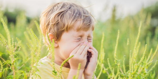 Dzieci odetchną z ulgą – terapia podjęzykowa dostępna dla najmłodszych alergików