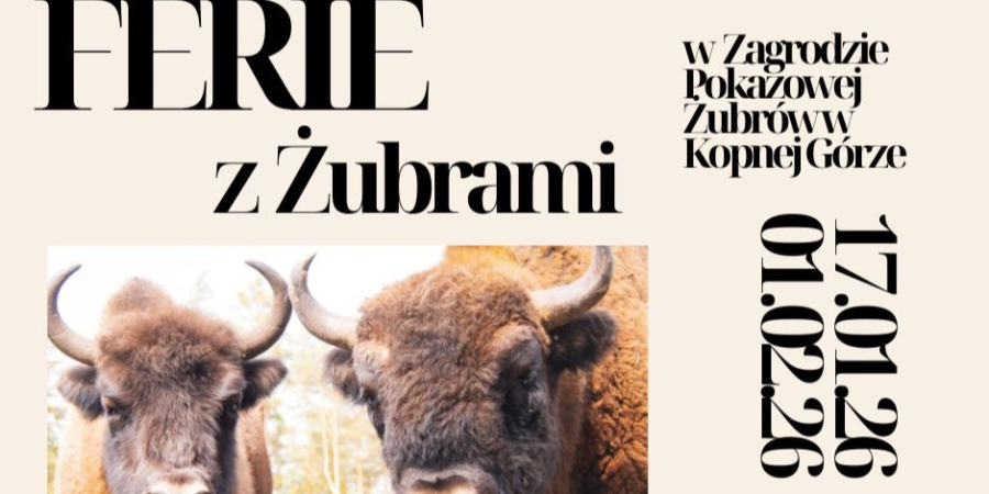 Ferie z żubrami w Zagrodzie Pokazowej w Kopnej Górze.