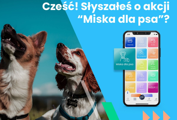 &bdquo;Bilet kupujesz, miskę fundujesz&rdquo;, czyli akcja miska dla psa